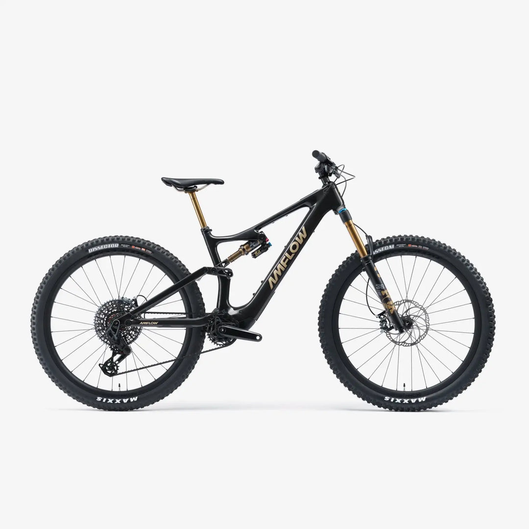 Amflow PL Carbon PRO Bike