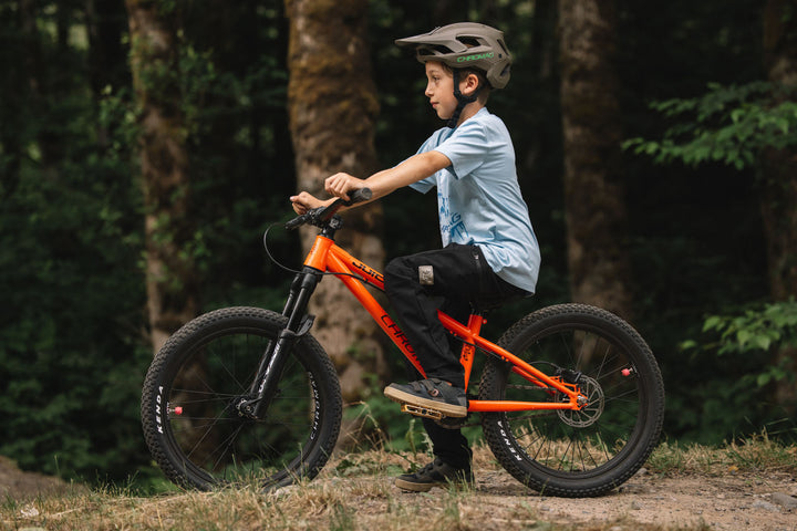 Chromag Juice Bike