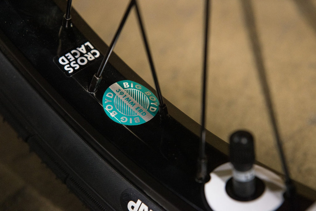 Sunday Darkwave Authentic Bike 2027