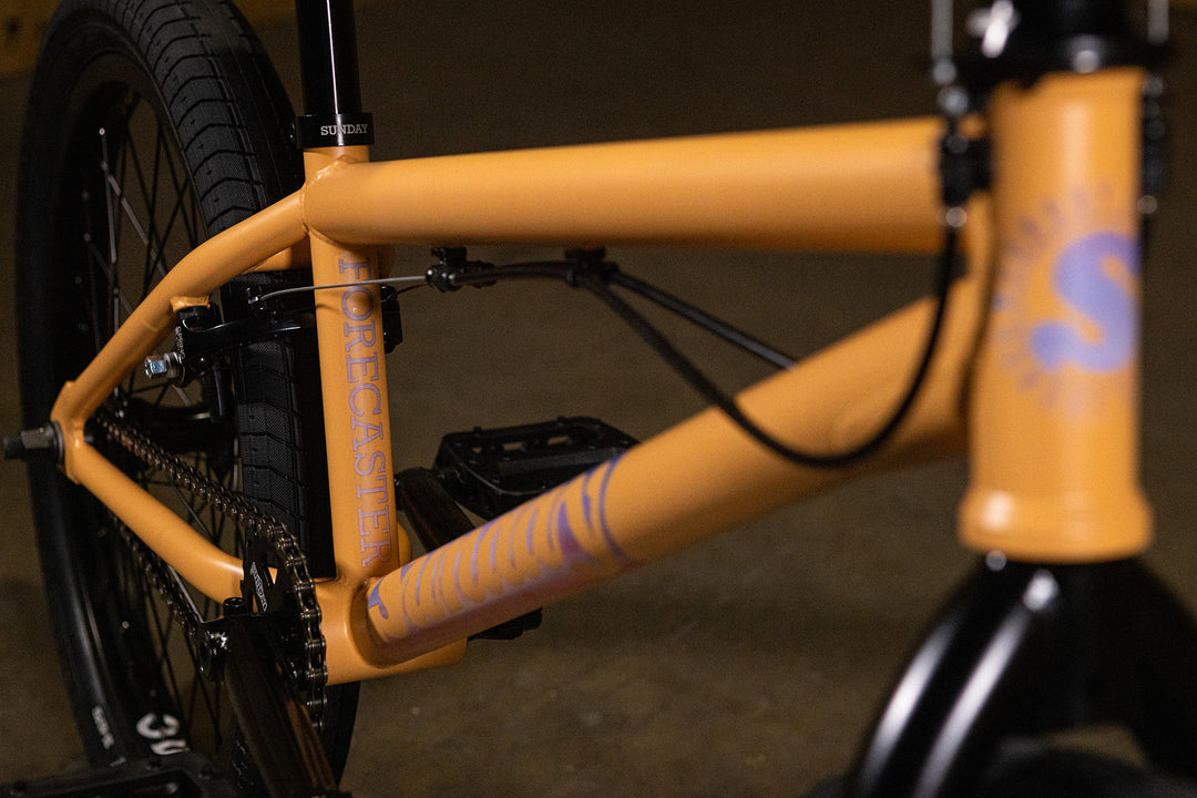 Sunday Forecaster Bike - Maca Perez Grasset 2027