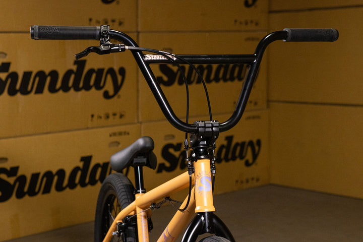 Sunday Forecaster Bike - Maca Perez Grasset 2027