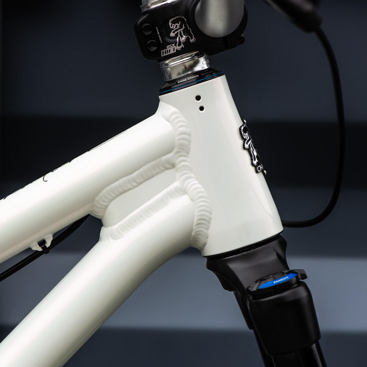 Chromag Signature DJ Bike