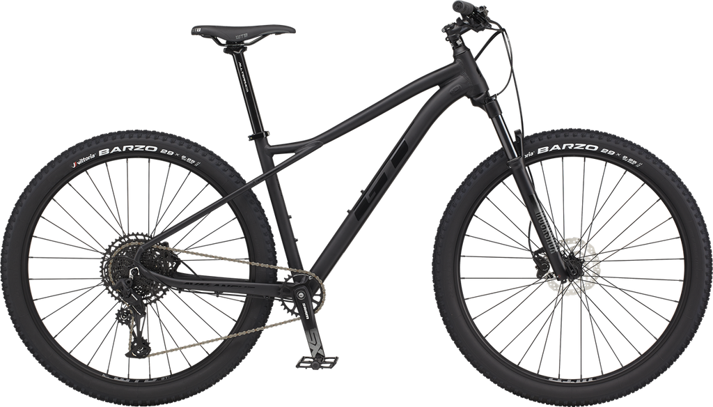 GT Avalanche Expert Bike Black Small 29