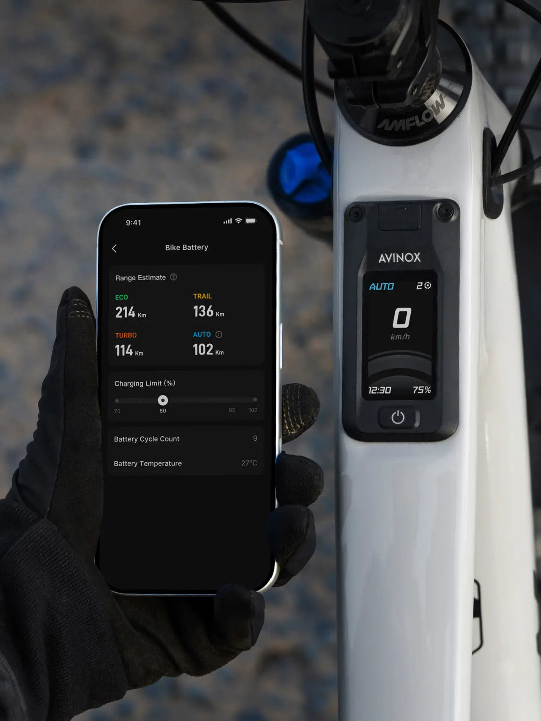 Amflow PX Carbon PRO Bike - PREORDER DEPOSIT