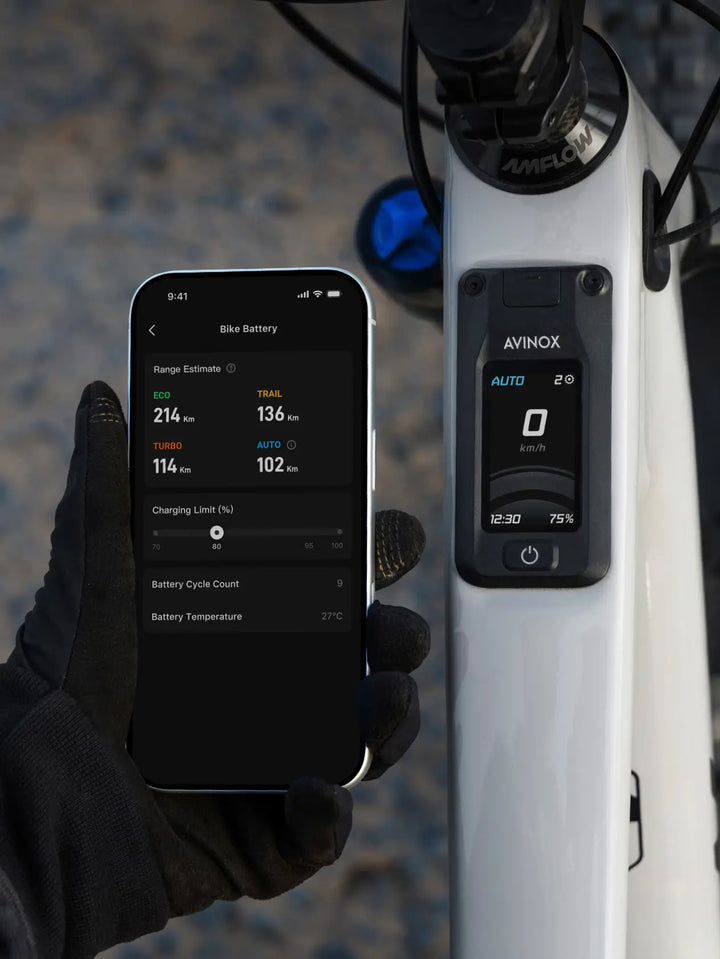 Amflow PX Carbon PRO Bike - PREORDER DEPOSIT