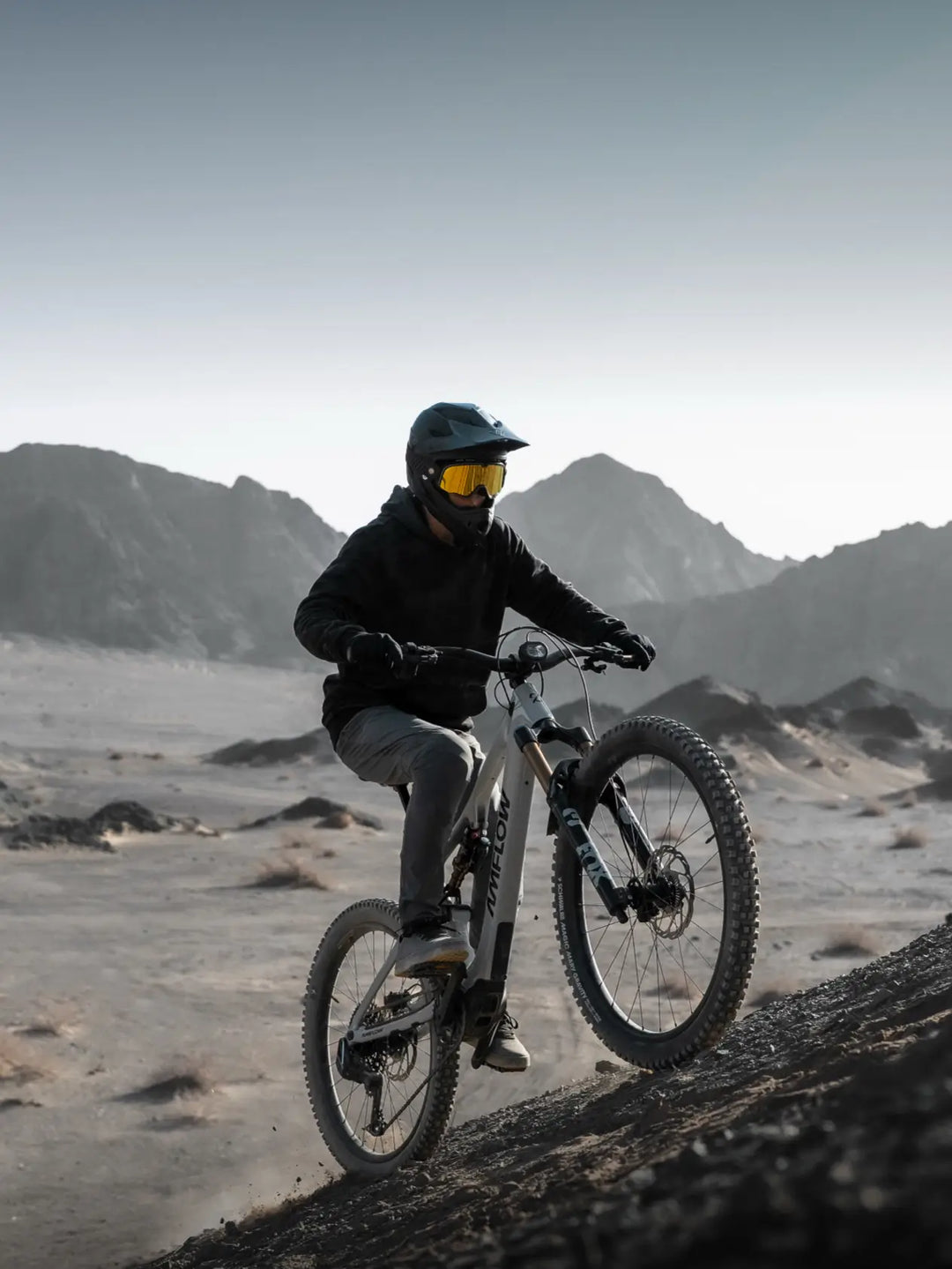 Amflow PX Carbon PRO Bike - PREORDER DEPOSIT