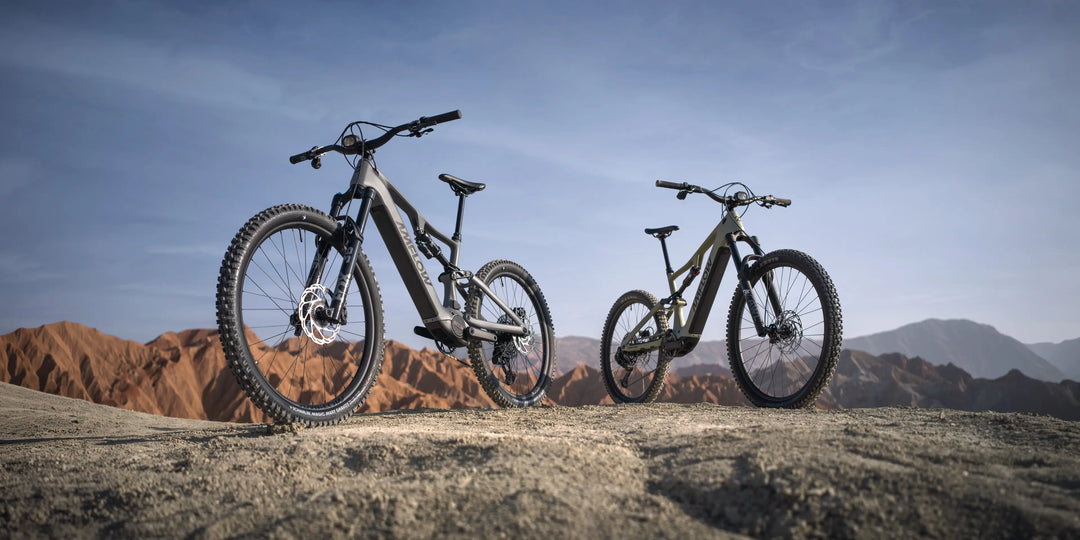 Amflow PR Carbon Bike - PREORDER DEPOSIT